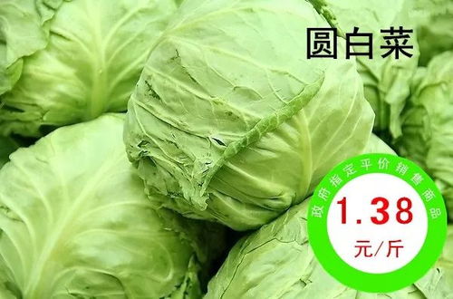 政府指定農副產品平價銷售商品熱賣中......